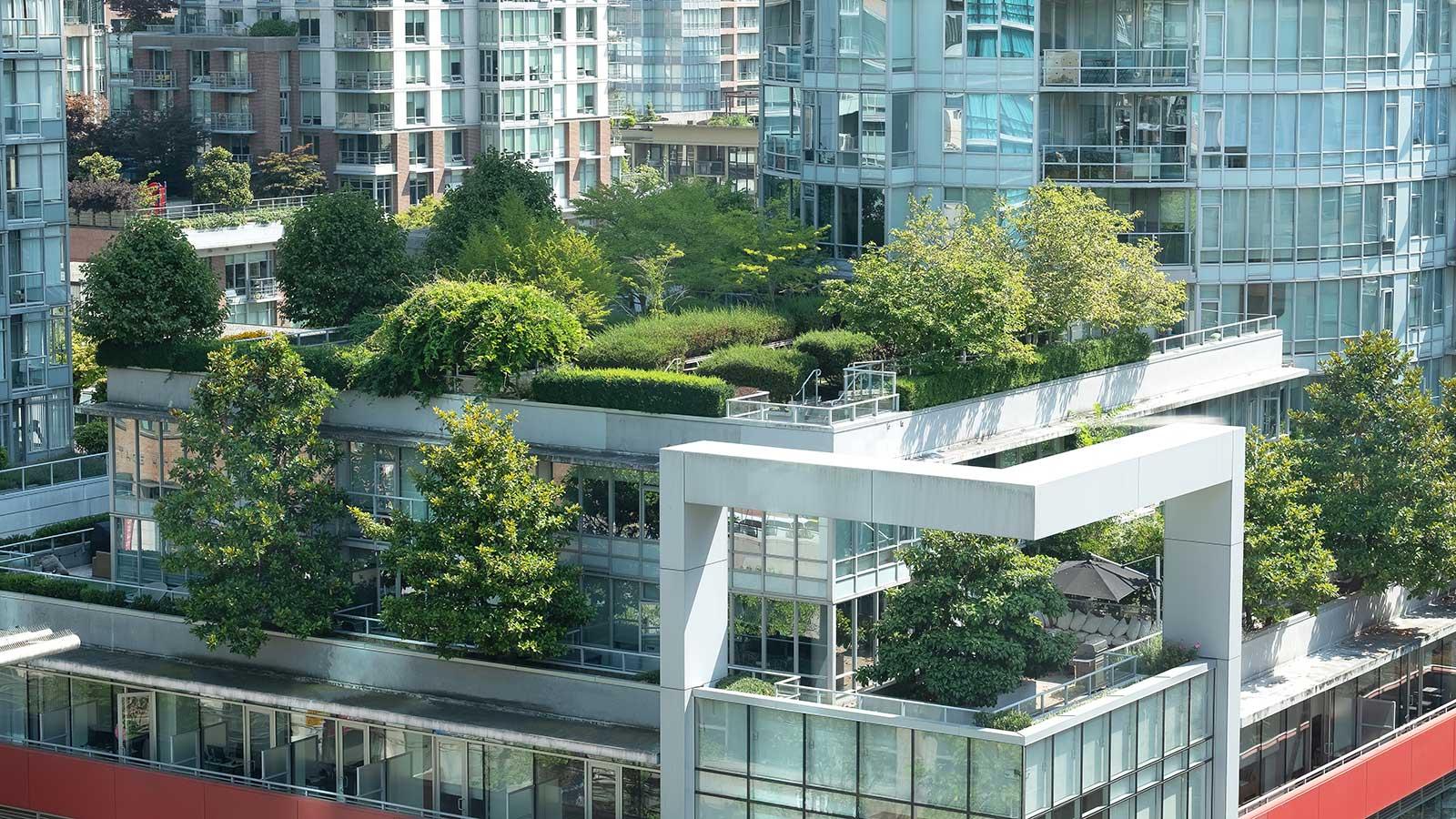 Trees and greenery on top of a city building representing Environmental-Health-Science program at Clarkson